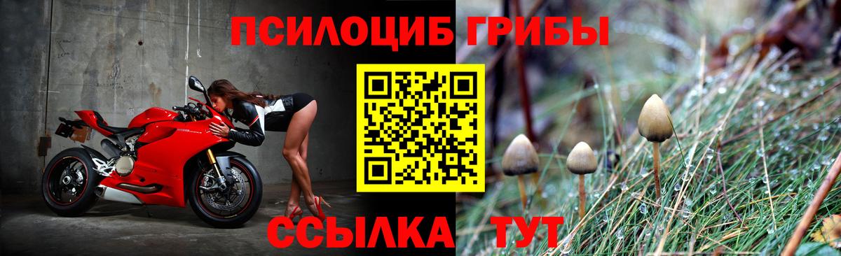 Псилоцибиновые грибы Magic Shrooms  Вход с VPN  Томск 